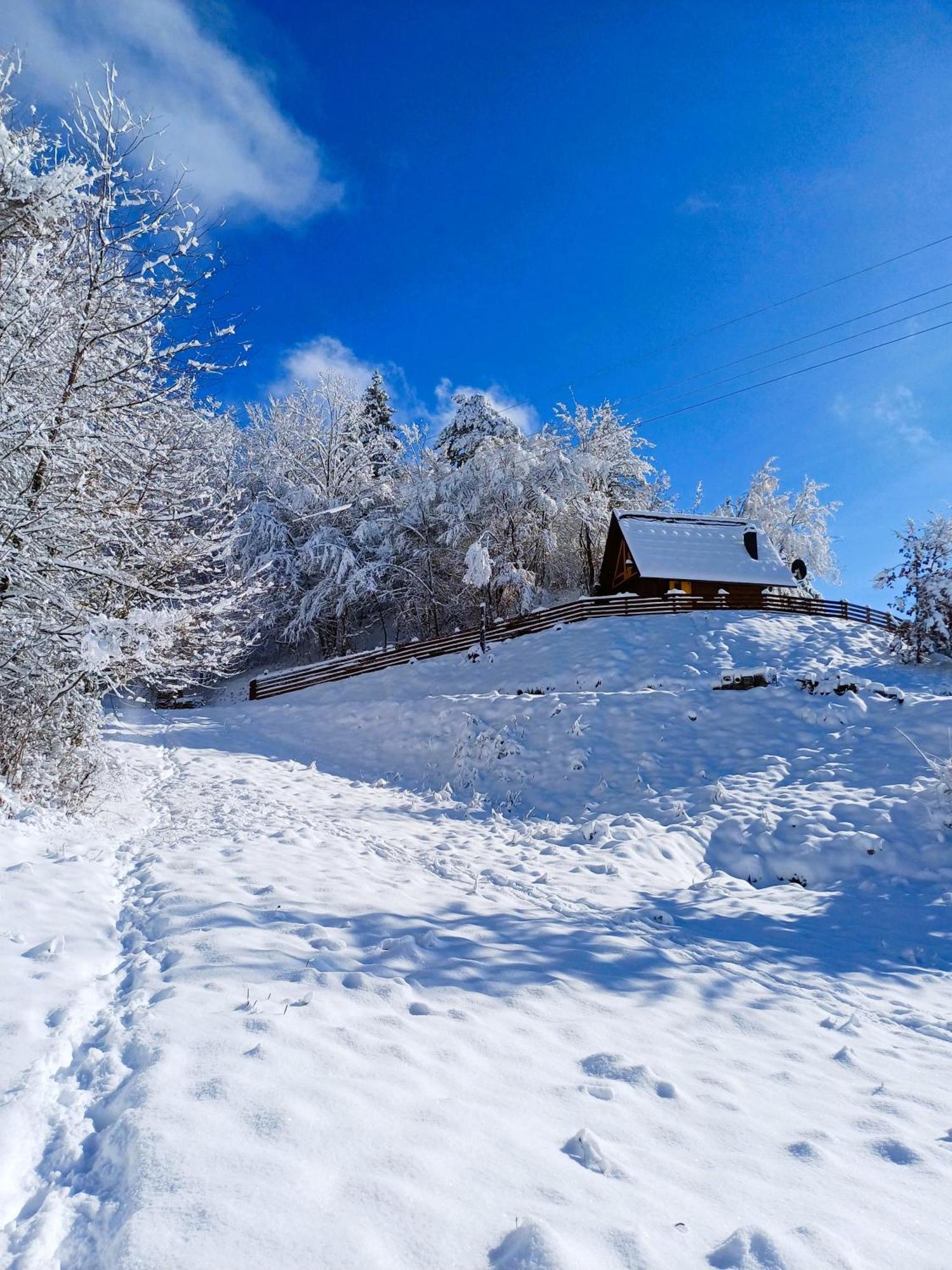 Zaovine Drvene Kuce Suska - Wooden Houses Suska חדר תמונה